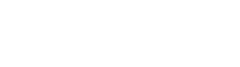 LOGO SEVO SYSTEMS_